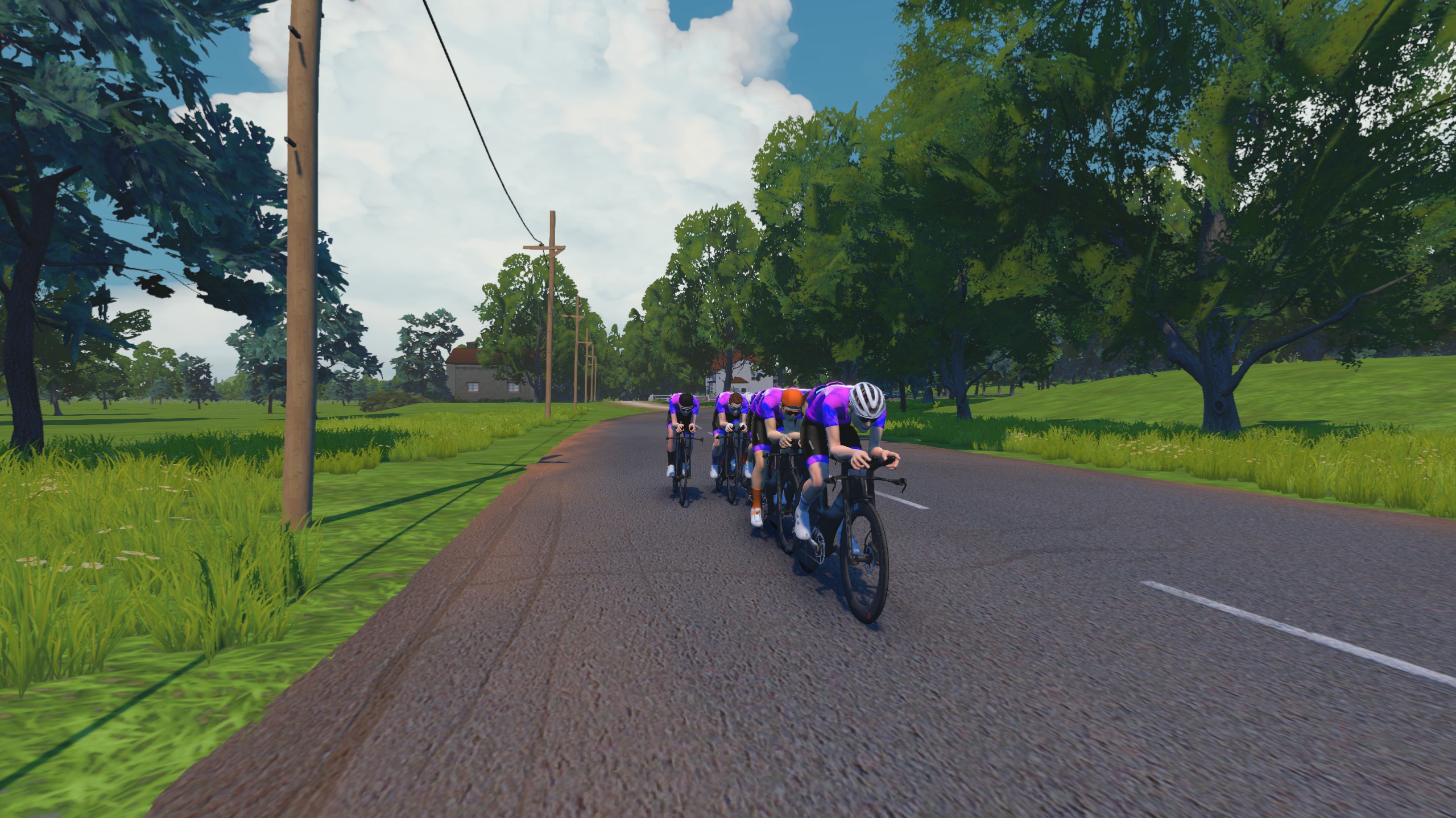 COALITION TEAMS SHINE IN THE ZWIFT RACING LEAGUE 24/25 SEASON